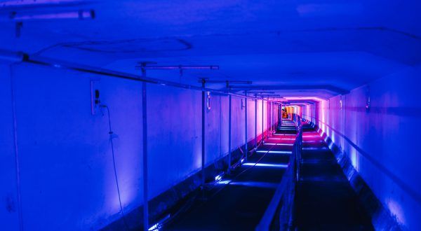 A neon-lit concentric tunnel.