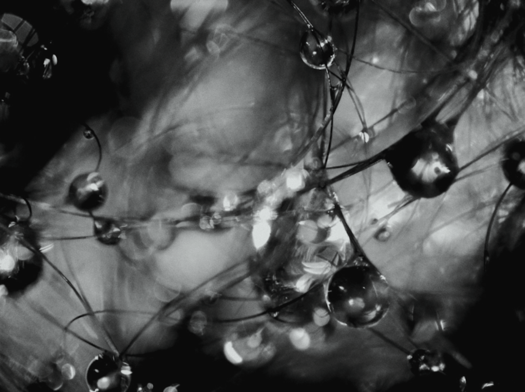 A black and white microscopic image of strand of hair with water droplets on it.