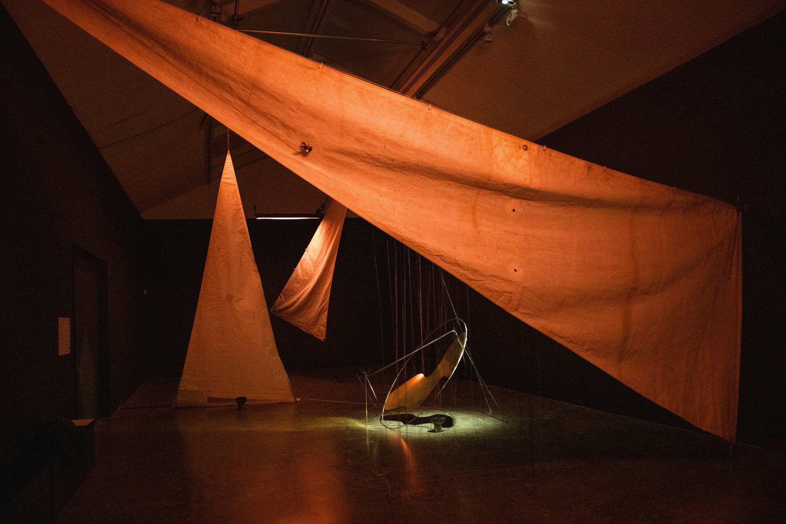 Cryptic Nights: Wake - Cryptic